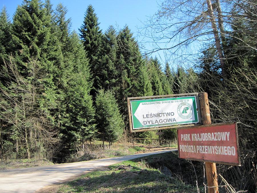 Nawet nie wiedziałem, że tu jest rezerwat