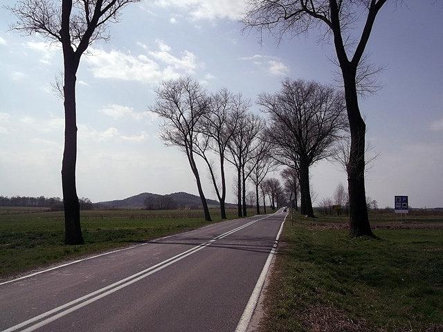 Przyjemna droga