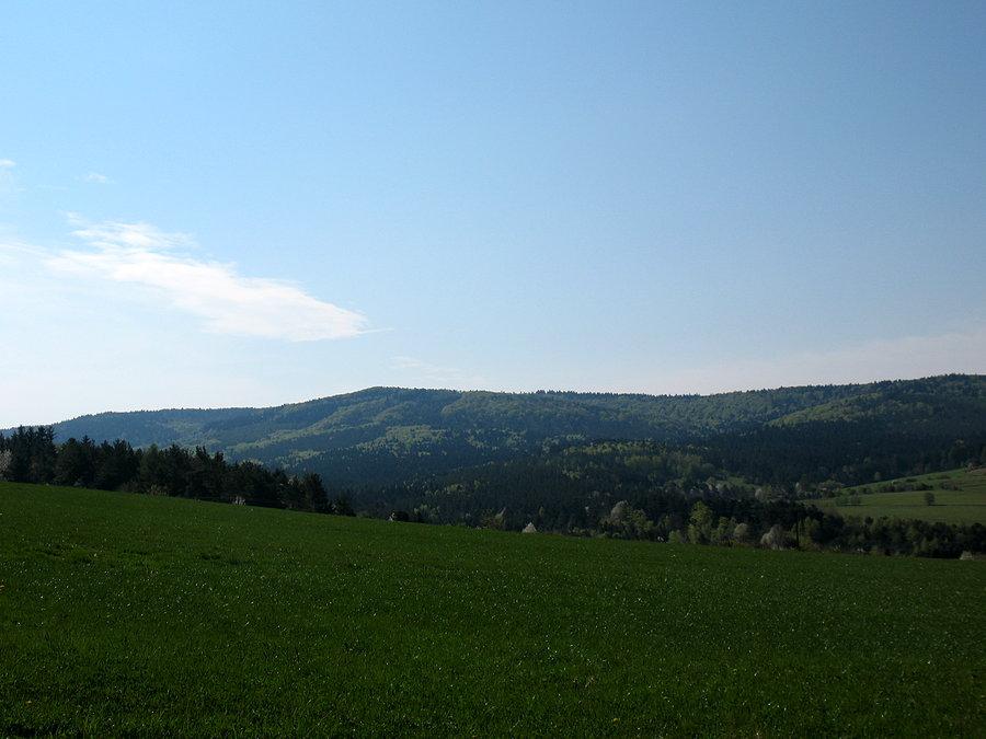 Nasz pierwszy cel - Jawornik (761 m.n.p.m) - jest zielony