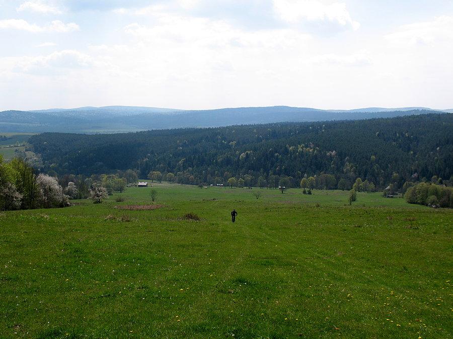 Zjazd do Polan Surowicznych po zielonym dywanie
