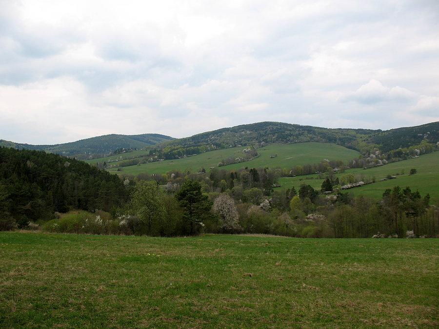 Polańska (737 m.n.p.m)