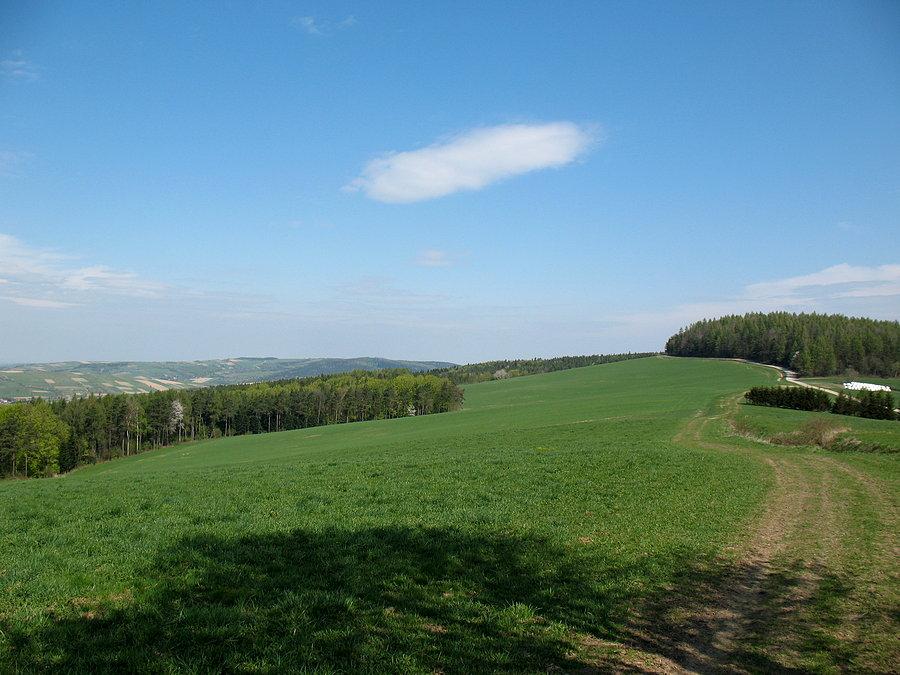 No to jeszcze trochę zieleni
