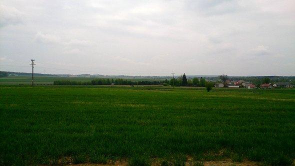 Pola w Polanówce