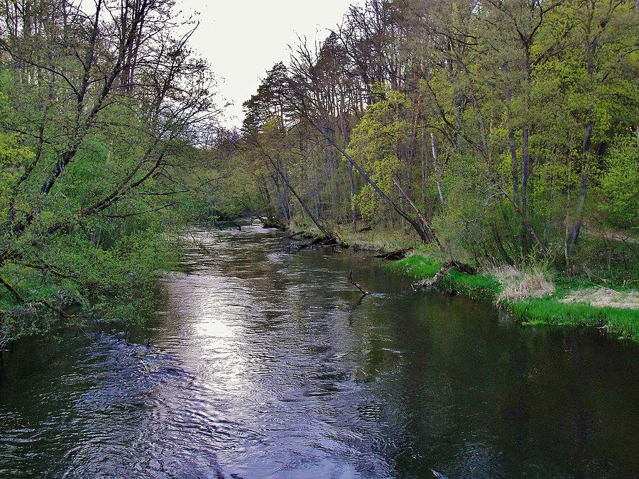 Bory Tucholskie - Kraina Trzech Wież. W deszczu i słońcu... Rzeka Brda