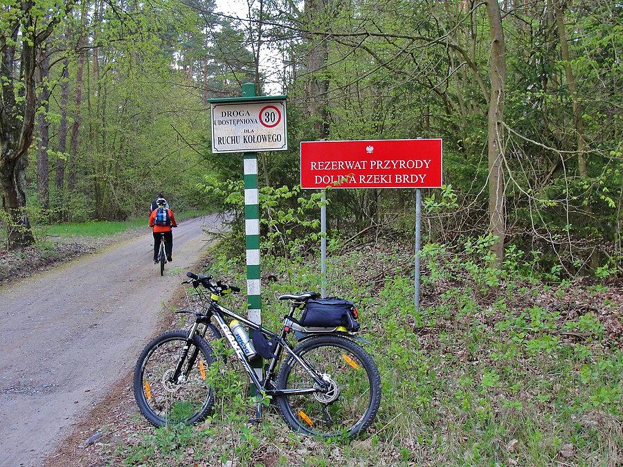 Bory Tucholskie - Kraina Trzech Wież. W deszczu i słońcu