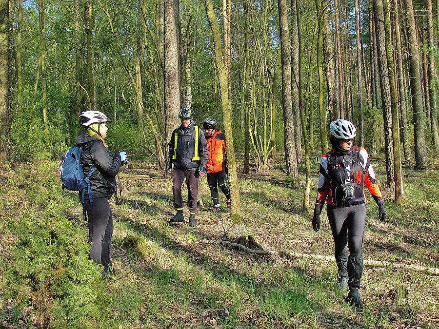 Bory Tucholskie - Kraina Trzech Wież. W deszczu i słońcu