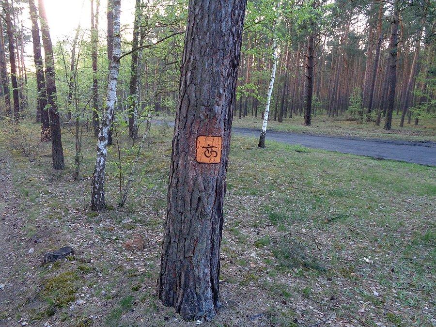 Nowe oznaczenia ścieżek rowerowych