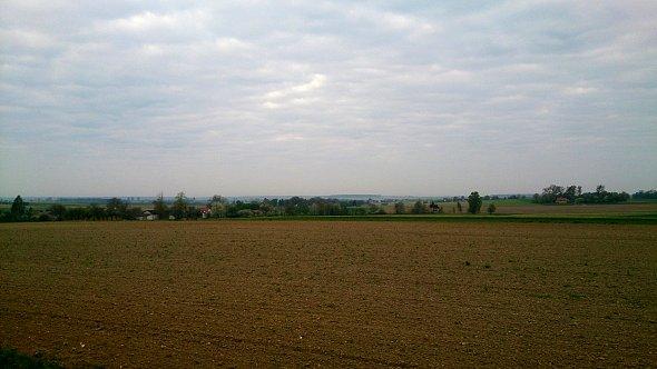 Pola koło Wierciszowa