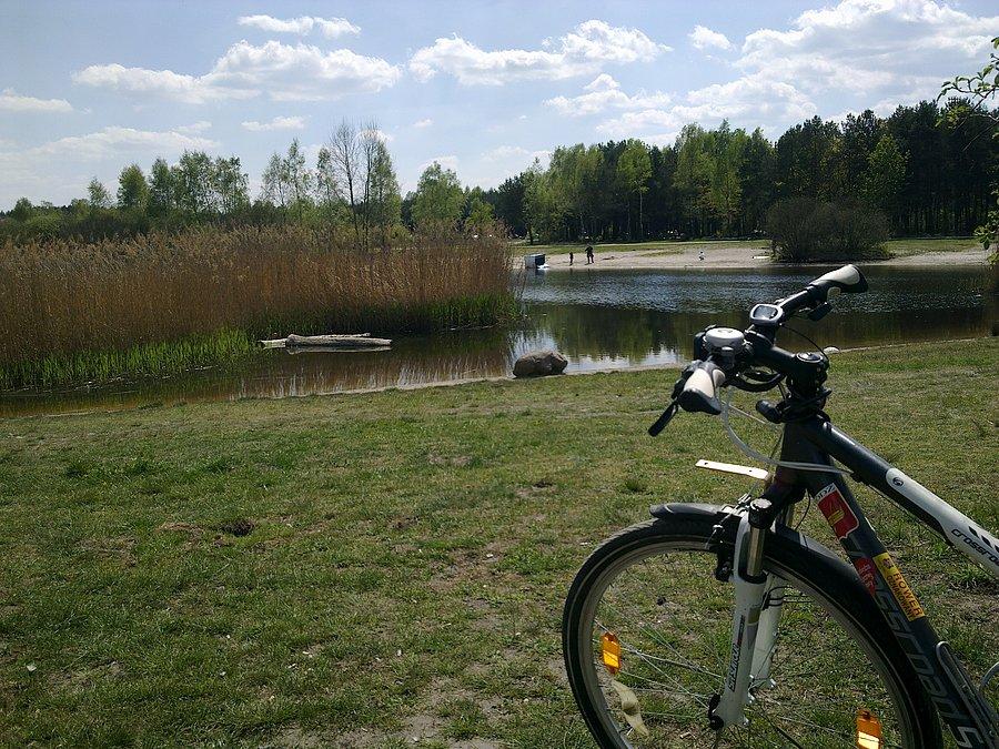 Staw Bielice