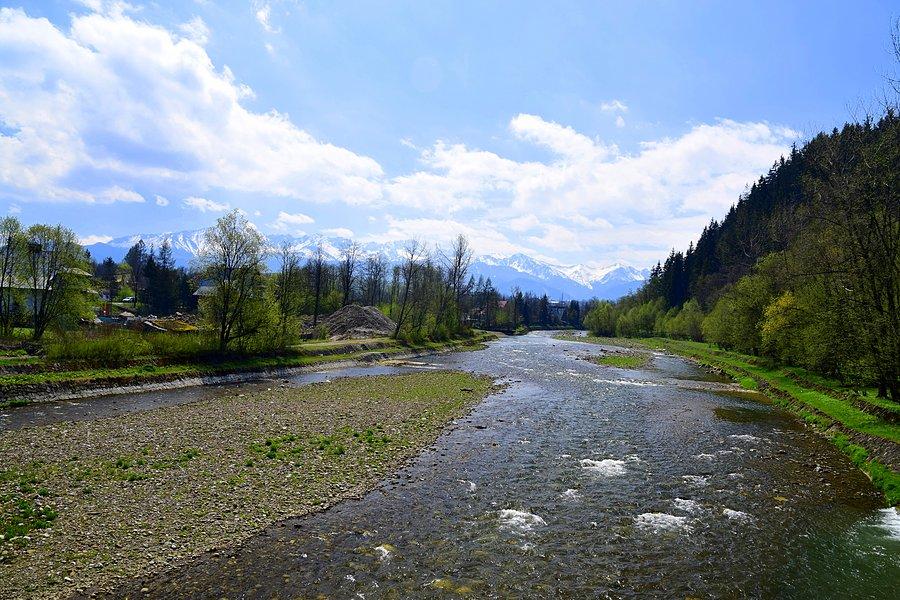 Biały Dunajec