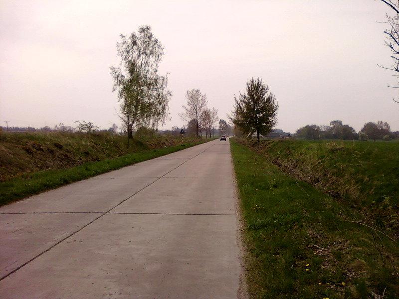 Droga koło Siedlątkowa