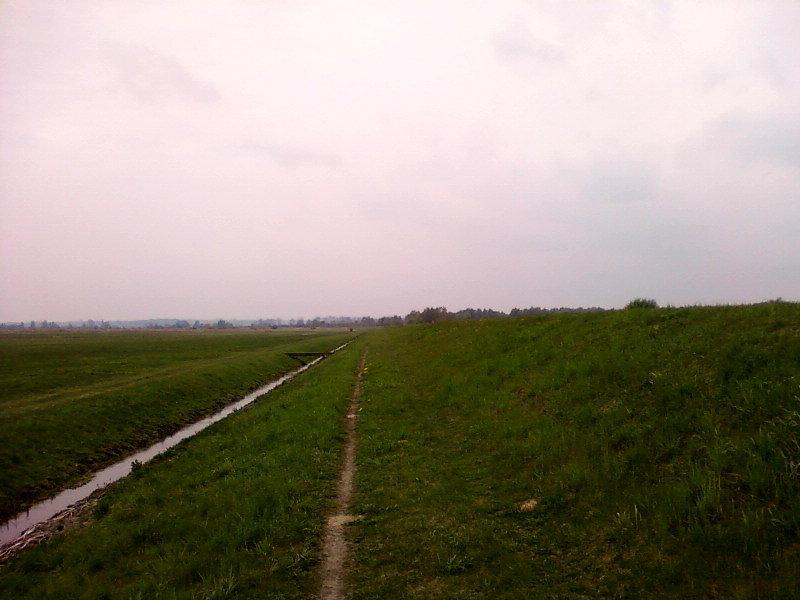 Szlak pieszy wzdłuż wału