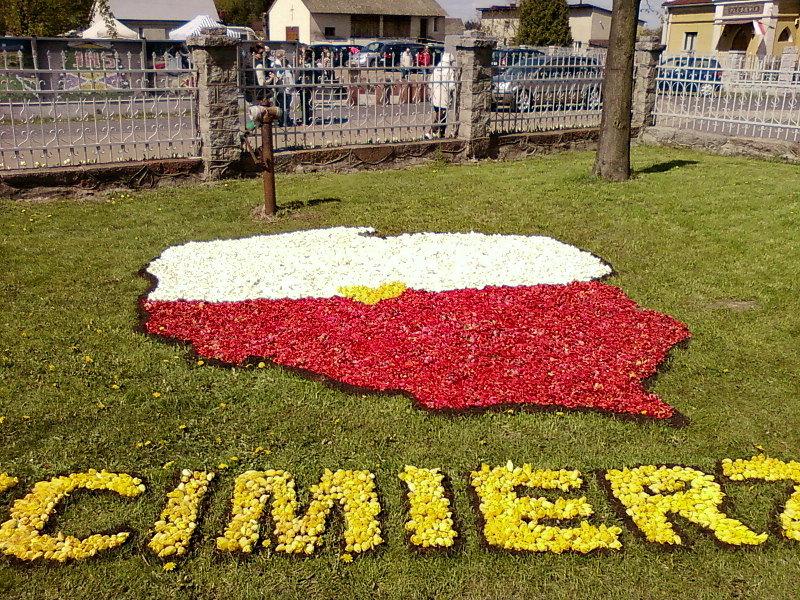 Spycimierskie Święto Tulipana