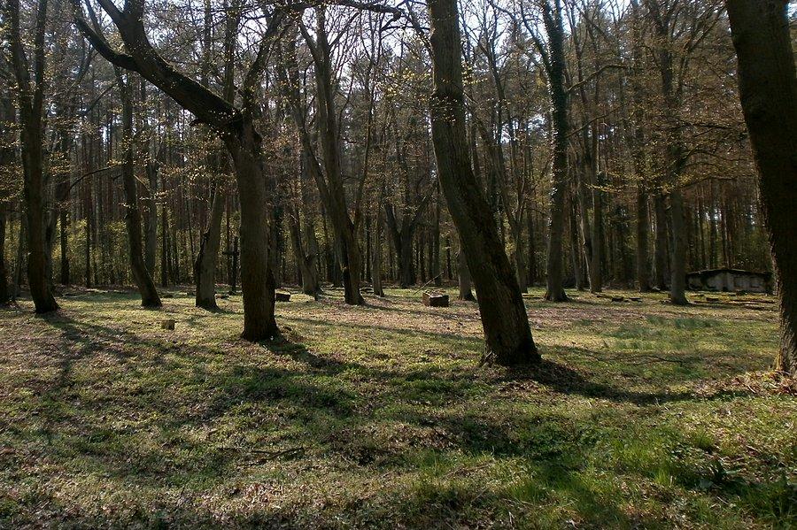 Cmentarz wyznaniowy założony przez ewangelickich mieszkańcow Kulowa w II poł. XIX w