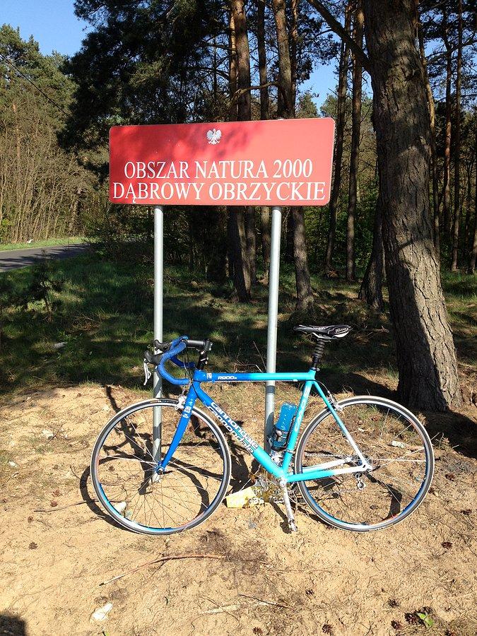 Obszar Natura 2000 - Dąbrowy Obrzyckie