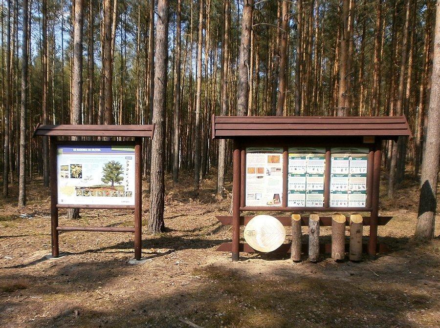 Ścieżka dydaktyczna "Leśna Dolina"