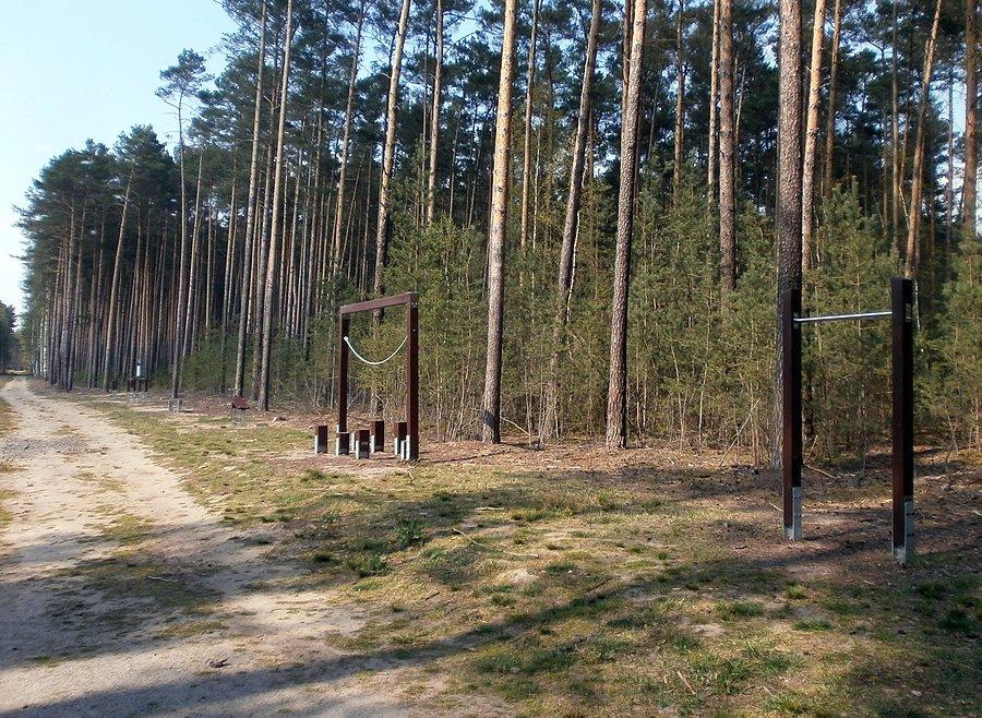 Ścieżka zdrowia w pobliżu parkingu leśnego "Gola"