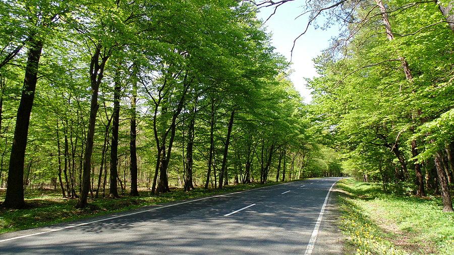 DK 40, Pokrzywnica-Twardawa