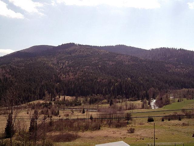 Gorce