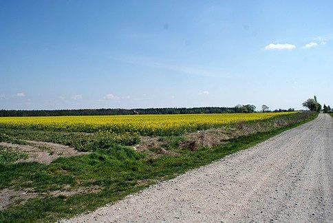 Drogą szutrową, zwaną przez tutejszych kamienistą :)