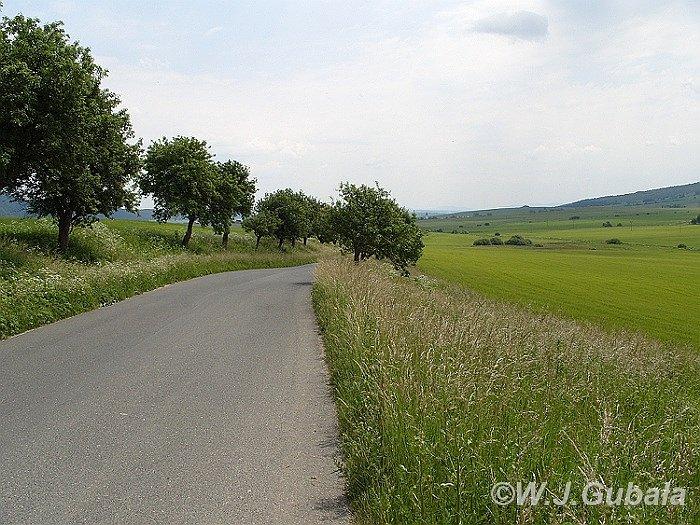 Trasa Jarnej