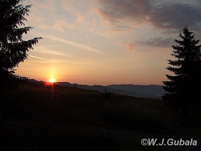 Wschodzik nad Gorcami