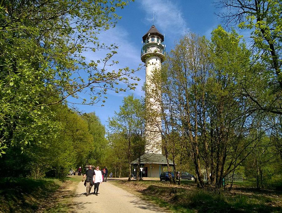 Dziewicza Góra