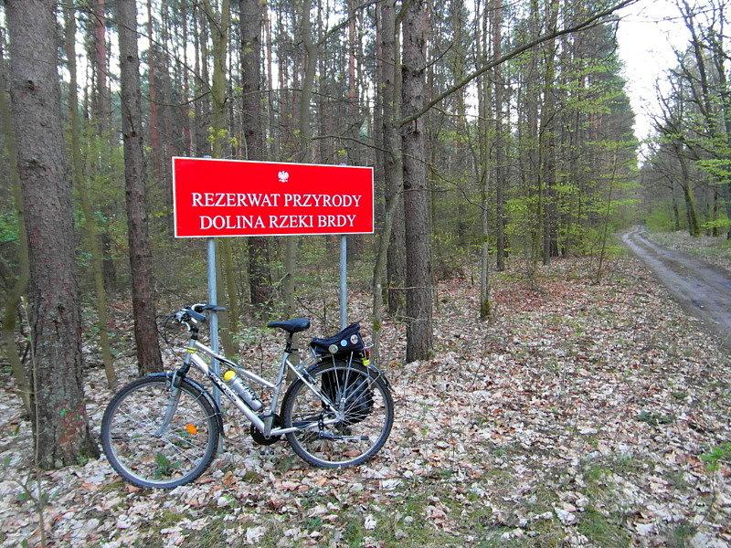 Rezerwat Przyrody Dolina Rzeki Brdy