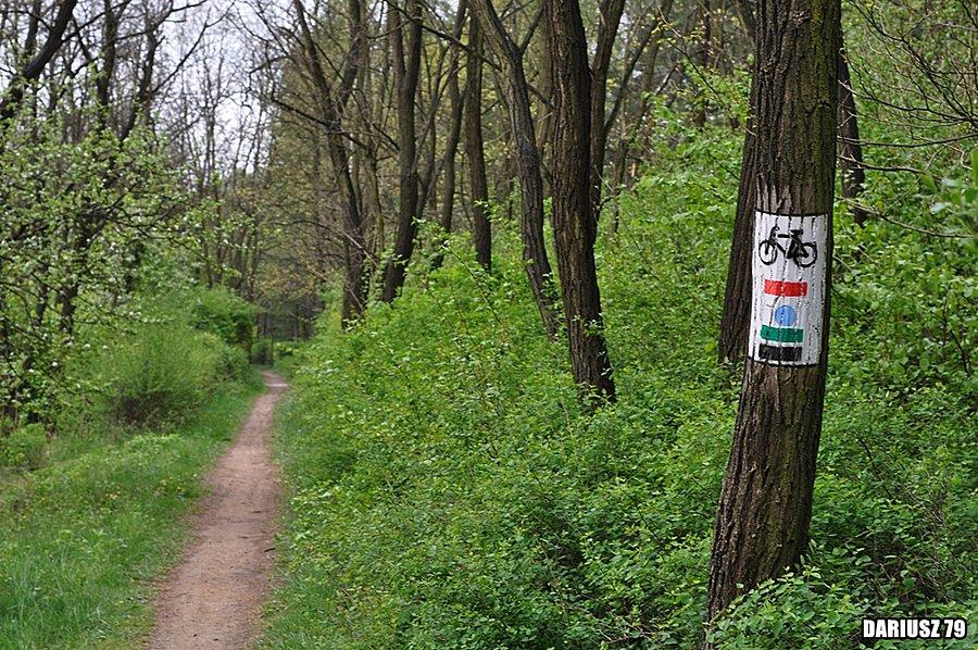 Jaworzno - Zalew Sosina (Ścieżka rowerowa)