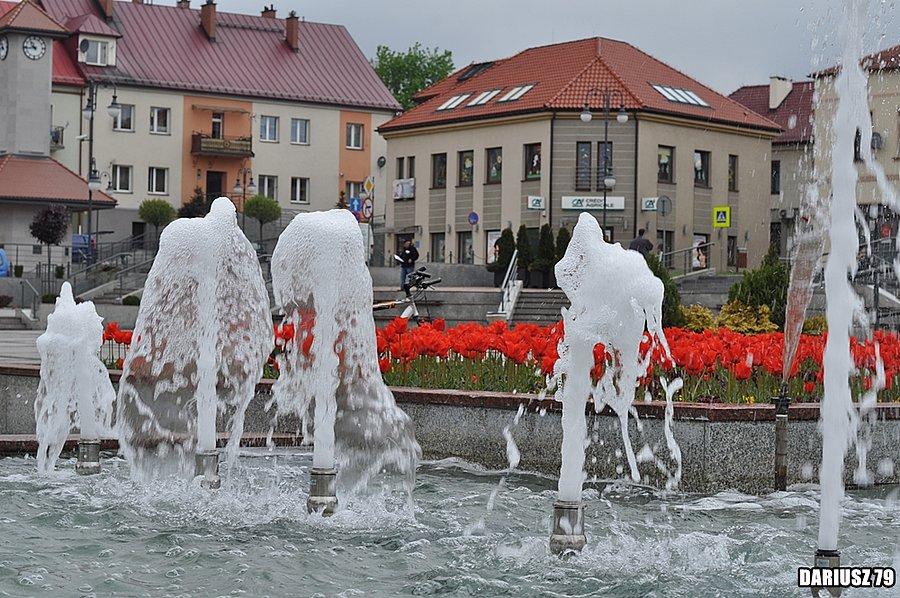 Trzebinia - Rynek