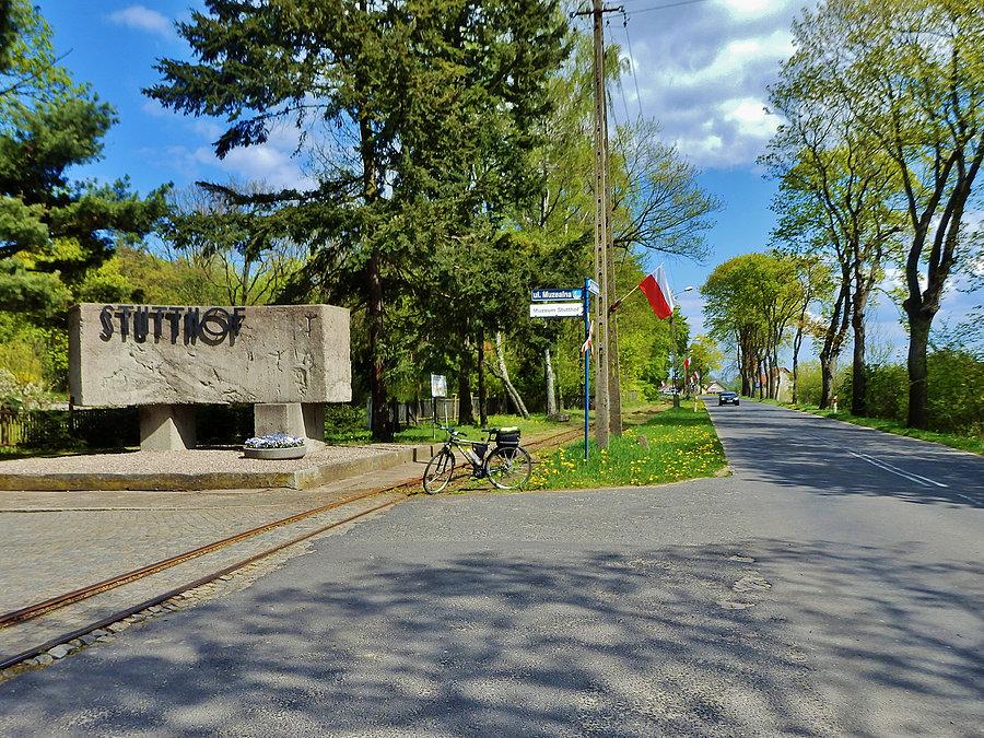Kąty Rybackie - Rezerwat Kormoranów. Na trasie wycieczki