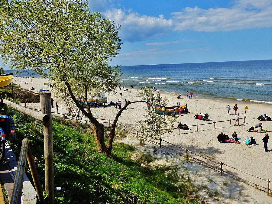Kąty Rybackie - Rezerwat Kormoranów. Na trasie wycieczki. Stegna