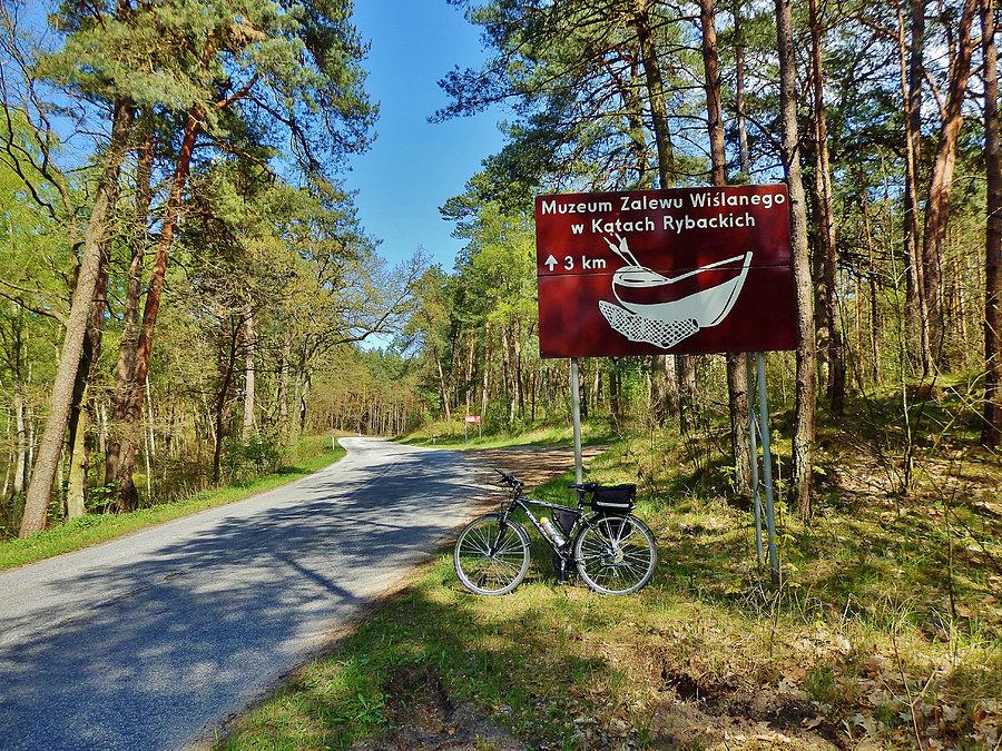 Kąty Rybackie - Rezerwat Kormoranów. Na trasie wycieczki