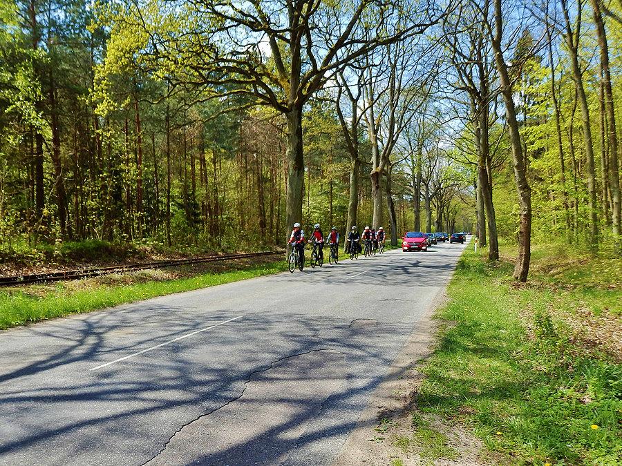 Kąty Rybackie - Rezerwat Kormoranów. Na trasie wycieczki