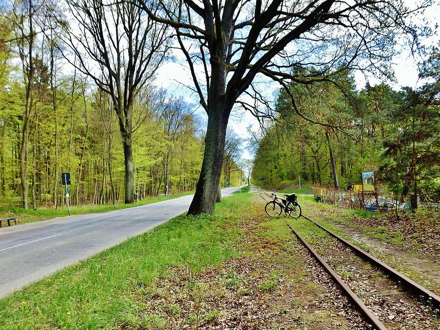 Kąty Rybackie - Rezerwat Kormoranów. Na trasie wycieczki