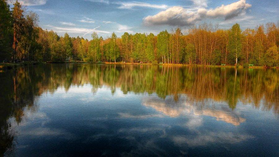 W pobliżu Kochłowic