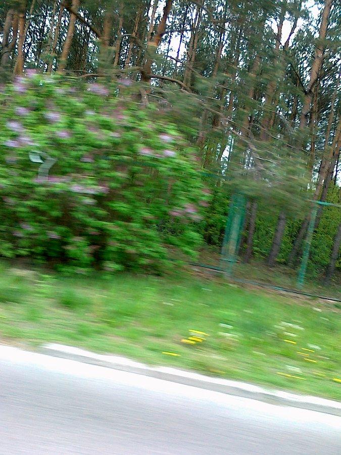 A tu kwitnący ..:)