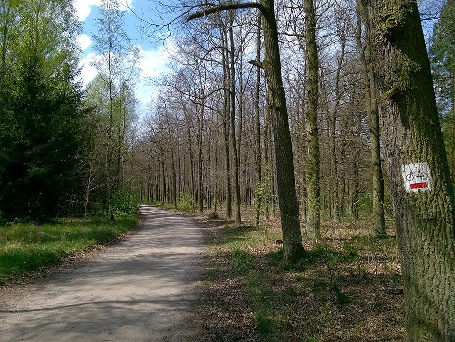 Tym szlakiem jechałam :)