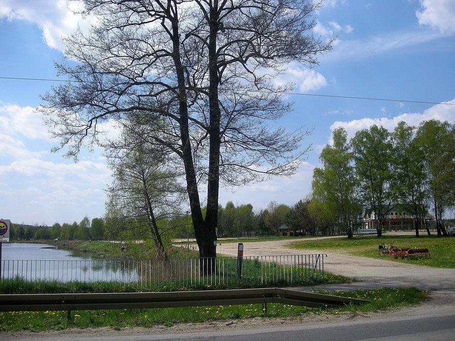 Ośrodek harcerski Pająk w Konopiskach