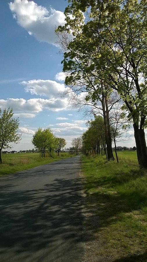 Tak wyglądała większość trasy