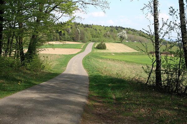 Podjazd na Kokocz