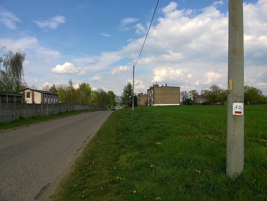 W Trzcielinie