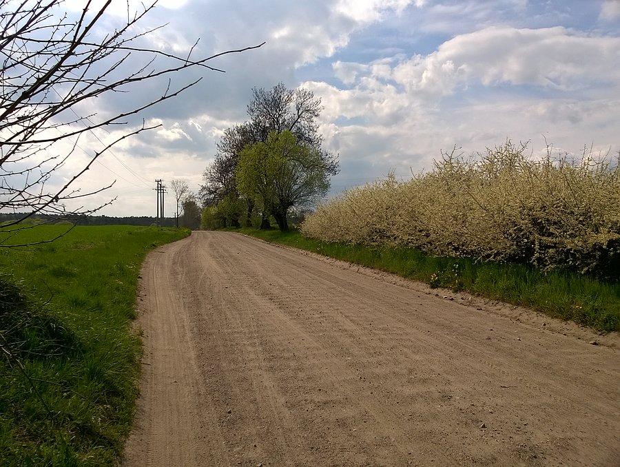 Przed Podłozinami