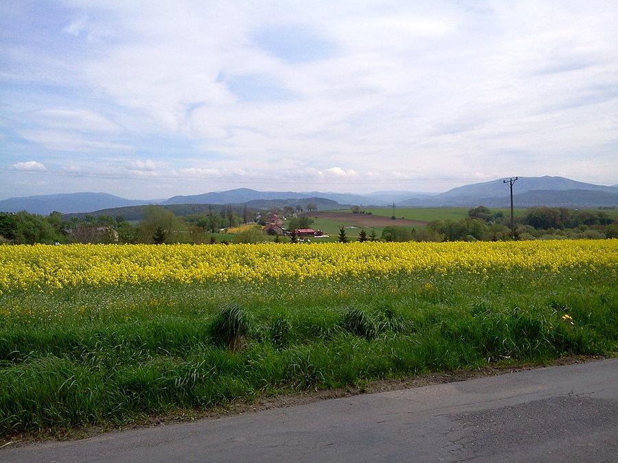 Beskid Śląski