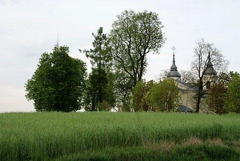 Pośród pól