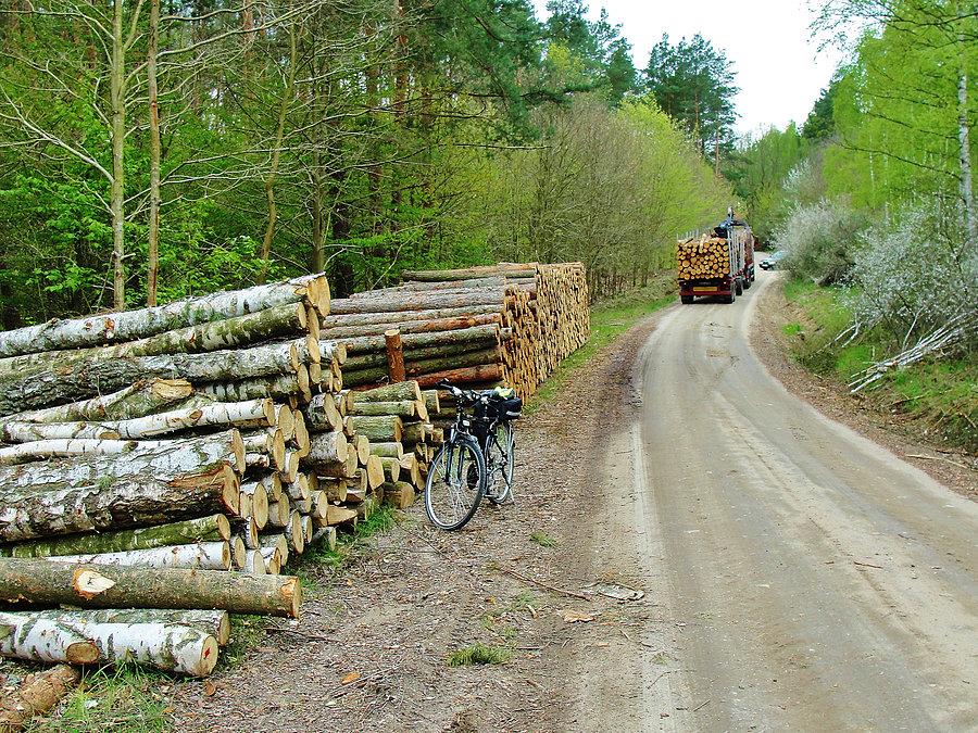 Wycieczka po Kociewiu