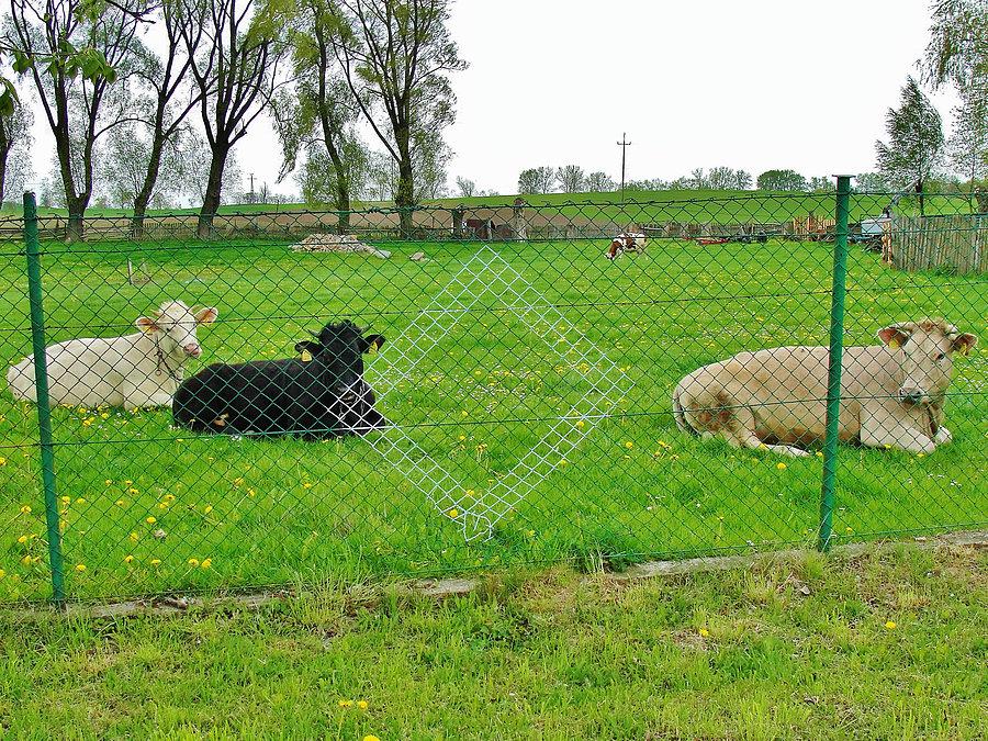 Wycieczka po Kociewiu. Wiejskie klimaty