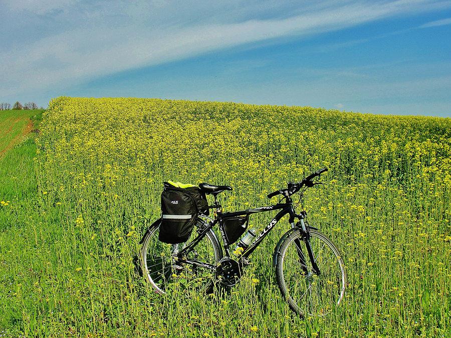 Wycieczka po Kociewiu - Kierunek Borówno