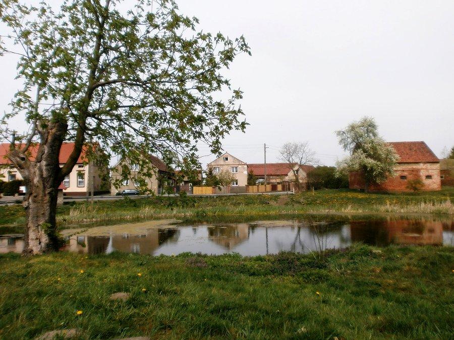 Centrum wsi Skidniów w gminie Kotla