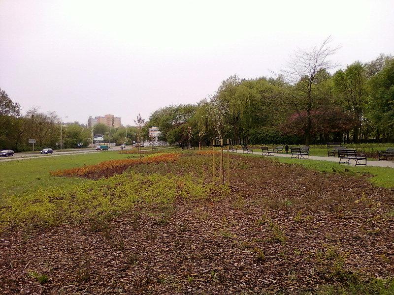 Park przy Drewnowskiej